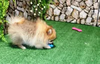 processed/22acd988-51f2-4d72-9af7-ec9854b6d609/listing/8506ea39-802d-4a12-9fee-c36c5d9ea6fb/c2b6464e-d4f4-4227-8e6a-28e5f5ae102e