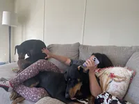 processed/22af7d77-6792-4747-9e87-b3769caae64c/facility/17496c8c-f783-402d-b7a2-eb4f20d9d396