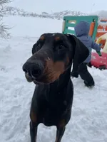 processed/22af7d77-6792-4747-9e87-b3769caae64c/facility/2d18ec68-6dfb-4f4d-85c1-4950167aa360