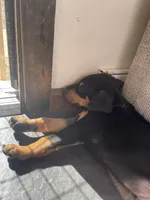 processed/22af7d77-6792-4747-9e87-b3769caae64c/facility/5956f304-d92d-4a5d-99a7-b5a51d176fb0