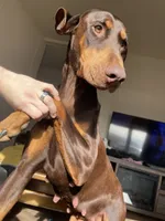 processed/22af7d77-6792-4747-9e87-b3769caae64c/facility/aa2ba6a4-9cb2-4fbb-84a5-b249c0ce0d72