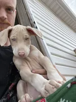 processed/22af7d77-6792-4747-9e87-b3769caae64c/facility/af161921-2a2f-4e74-99be-b1184ce72bc9