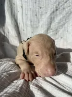 processed/22af7d77-6792-4747-9e87-b3769caae64c/listing/03fa4219-bca0-4ecb-a5e9-2a894b620113/be7f6432-5798-4a3d-8b13-a95a4d26584c