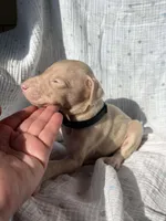 processed/22af7d77-6792-4747-9e87-b3769caae64c/listing/03fa4219-bca0-4ecb-a5e9-2a894b620113/d4856300-1e56-4607-88fe-ad9dca2fda49