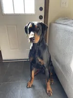 processed/22af7d77-6792-4747-9e87-b3769caae64c/listing/6318d908-1db8-4569-9bdf-85169bbadec2/05bb6da0-3dcf-43e8-9fee-da09592900cf