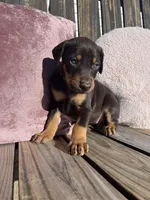 processed/22af7d77-6792-4747-9e87-b3769caae64c/listing/6318d908-1db8-4569-9bdf-85169bbadec2/44727e2a-559a-4dd9-8950-feea1c96d74e