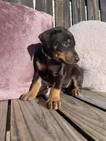 processed/22af7d77-6792-4747-9e87-b3769caae64c/listing/6318d908-1db8-4569-9bdf-85169bbadec2/6256086c-19d7-47ea-8bab-4f61eaf7e5c2