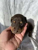 processed/22af7d77-6792-4747-9e87-b3769caae64c/listing/6318d908-1db8-4569-9bdf-85169bbadec2/6e305753-98c6-4602-a6df-31e98bdd72a0