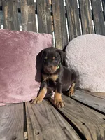 processed/22af7d77-6792-4747-9e87-b3769caae64c/listing/6318d908-1db8-4569-9bdf-85169bbadec2/b9e3edba-1af9-470e-8838-f24f0c5dc52d