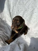 processed/22af7d77-6792-4747-9e87-b3769caae64c/listing/6318d908-1db8-4569-9bdf-85169bbadec2/c614a29f-cae8-4626-ae48-63844751fb26