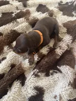 processed/22af7d77-6792-4747-9e87-b3769caae64c/listing/a1285799-60fe-4a35-9862-48ef8b92ab3f/73cf39e9-65d1-49b0-9aca-b58e170bea5c