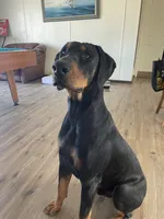 processed/22af7d77-6792-4747-9e87-b3769caae64c/listing/a1285799-60fe-4a35-9862-48ef8b92ab3f/db68f9cd-0f29-46f5-b655-e063354437bf