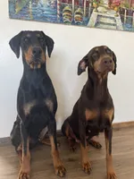 processed/22af7d77-6792-4747-9e87-b3769caae64c/listing/a2d3caab-35e1-4b53-9ea9-3635c82395ba/3be764c2-a368-4c63-800e-00d5c8af79e9