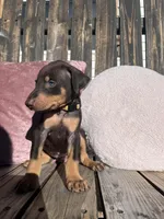 processed/22af7d77-6792-4747-9e87-b3769caae64c/listing/a2d3caab-35e1-4b53-9ea9-3635c82395ba/4ffcf030-52e5-4c1c-80a6-286a5571d15e