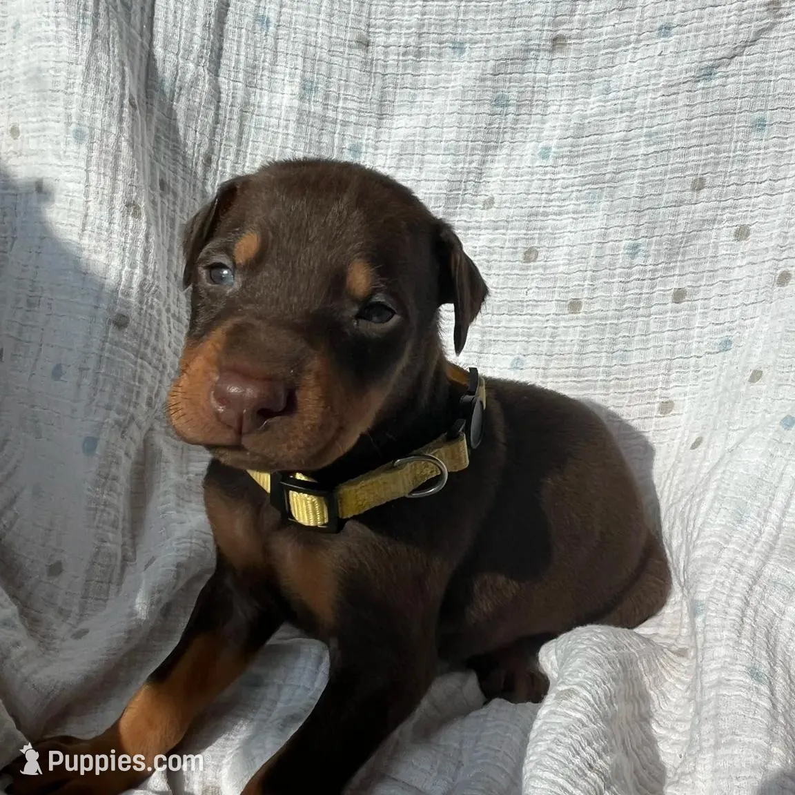 processed/22af7d77-6792-4747-9e87-b3769caae64c/listing/a2d3caab-35e1-4b53-9ea9-3635c82395ba/66502dc4-a581-42f2-87e9-72b767ee382a