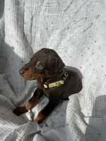 processed/22af7d77-6792-4747-9e87-b3769caae64c/listing/a2d3caab-35e1-4b53-9ea9-3635c82395ba/d993ffd0-832b-4028-81f2-3745ee075a29