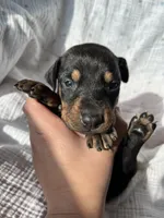 processed/22af7d77-6792-4747-9e87-b3769caae64c/listing/dbb3746e-d64b-4672-996a-bd683dd0f465/2266cb85-dec3-412d-b0f5-e548c10bf37b