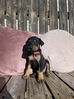 processed/22af7d77-6792-4747-9e87-b3769caae64c/listing/dbb3746e-d64b-4672-996a-bd683dd0f465/ad0289ed-3d20-4dfc-ba26-a7e0c31bd242