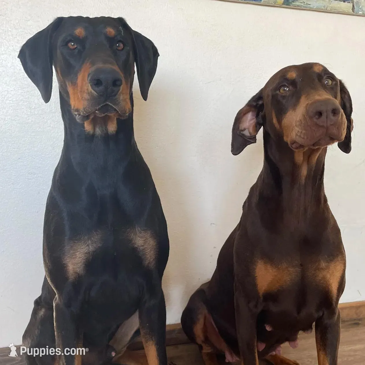 processed/22af7d77-6792-4747-9e87-b3769caae64c/listing/dbb3746e-d64b-4672-996a-bd683dd0f465/b3500261-543e-4a26-9330-836aa318be22