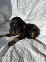 processed/22af7d77-6792-4747-9e87-b3769caae64c/listing/dbb3746e-d64b-4672-996a-bd683dd0f465/ce63d9e8-2196-4d8d-a2ad-8b1e27bed5c0