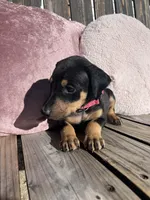 processed/22af7d77-6792-4747-9e87-b3769caae64c/listing/dbb3746e-d64b-4672-996a-bd683dd0f465/d1e2ef50-f9ff-4239-af13-021813bb5f55