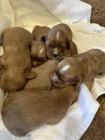 processed/22c1bc27-ebad-4d93-b989-0c0a6d3791af/listing/4dd93f41-e640-4cec-95c2-1bc84c2f8291/2bb4e120-d6c1-4291-a170-933a124a7d94