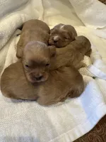 processed/22c1bc27-ebad-4d93-b989-0c0a6d3791af/listing/4dd93f41-e640-4cec-95c2-1bc84c2f8291/5612b8e8-599b-4c49-81b5-c99ffc08b53e