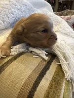 processed/22c1bc27-ebad-4d93-b989-0c0a6d3791af/listing/4dd93f41-e640-4cec-95c2-1bc84c2f8291/69204528-8bb0-4556-94a9-815c813a890d