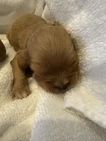 processed/22c1bc27-ebad-4d93-b989-0c0a6d3791af/listing/4dd93f41-e640-4cec-95c2-1bc84c2f8291/e45d319b-85b8-4dd3-9146-5d709a0cd816