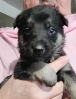 processed/22c515c1-6a89-4d37-89c6-cc8d83bd6e95/listing/042d1d05-09aa-40d0-a30c-f631d1357c4c/a48ce7b8-4613-4079-9944-123651fcaee1