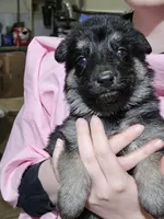 processed/22c515c1-6a89-4d37-89c6-cc8d83bd6e95/listing/1ac6fb5a-e7e5-4aaa-905c-718803a0a0bf/367467ce-8a27-48ce-a30f-8de1a32302f9