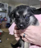 processed/22c515c1-6a89-4d37-89c6-cc8d83bd6e95/listing/85a6bfe7-bbe8-435d-a571-33f3ecc53613/7c51343e-04b7-476f-a545-12487f067b54