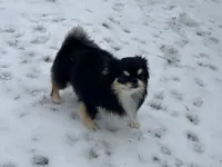 processed/22c56819-9604-4c62-91f2-1adbb2948536/facility/0d9ad747-1b35-4b6b-8498-9e87f9272209