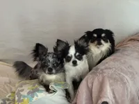 processed/22c56819-9604-4c62-91f2-1adbb2948536/facility/57d519bc-ee35-4a6a-9b99-05a66daaf764