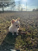 processed/22c56819-9604-4c62-91f2-1adbb2948536/facility/7bf8289b-fb9f-4b66-8336-776fde6e853d