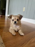 processed/22c56819-9604-4c62-91f2-1adbb2948536/facility/c8942ea4-c7a7-4b9c-ae75-ba6a7963b00d