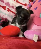 processed/22c56819-9604-4c62-91f2-1adbb2948536/listing/5359d603-c8d2-42f0-8950-c36ae7d4e94a/19c9c45a-1857-4106-9455-2c740d5dafd4