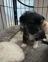 processed/22c56819-9604-4c62-91f2-1adbb2948536/listing/5359d603-c8d2-42f0-8950-c36ae7d4e94a/33ac2a44-ec7d-401b-979a-743b25d013d5