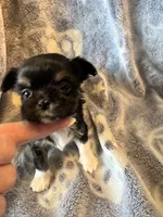 processed/22c56819-9604-4c62-91f2-1adbb2948536/listing/5359d603-c8d2-42f0-8950-c36ae7d4e94a/fbcb38f4-44fd-42a3-8b67-0c68fe1cce6b