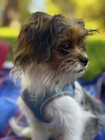 processed/22d5a185-39ee-4846-8ad6-3316967570fd/listing/841a8ff4-b069-4eb7-a085-ba380dd260b8/0ff10441-55c8-42a2-add4-428cd4d4d71b