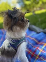 processed/22d5a185-39ee-4846-8ad6-3316967570fd/listing/841a8ff4-b069-4eb7-a085-ba380dd260b8/d2755f1c-a921-4344-831f-580ccabcec5e