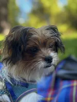 processed/22d5a185-39ee-4846-8ad6-3316967570fd/listing/841a8ff4-b069-4eb7-a085-ba380dd260b8/e3bbbd4f-95f6-4b7c-b922-b91578ca1f9f