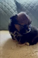 processed/22d5a185-39ee-4846-8ad6-3316967570fd/listing/db121644-0d98-45d4-a973-b25274da2432/07fc596c-a8e0-4b9d-9e5e-fbc8d6ff342d