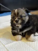 processed/22d5a185-39ee-4846-8ad6-3316967570fd/listing/db121644-0d98-45d4-a973-b25274da2432/0a6ebe07-36e4-46ba-aea0-c8468eac2315