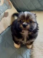 processed/22d5a185-39ee-4846-8ad6-3316967570fd/listing/db121644-0d98-45d4-a973-b25274da2432/303ef59b-c2cf-4b7b-8cfe-6fc0c9b145b6