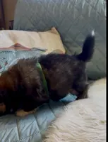 processed/22d5a185-39ee-4846-8ad6-3316967570fd/listing/db121644-0d98-45d4-a973-b25274da2432/816fac70-a905-4f38-826f-390302712611