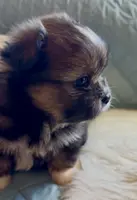 processed/22d5a185-39ee-4846-8ad6-3316967570fd/listing/db121644-0d98-45d4-a973-b25274da2432/8c4a4e74-d698-4c61-a1a6-d74d2cf3da3e