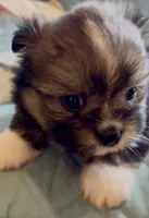 processed/22d5a185-39ee-4846-8ad6-3316967570fd/listing/db121644-0d98-45d4-a973-b25274da2432/a1f49af5-1cd6-404f-a4c1-78ba48933ffb