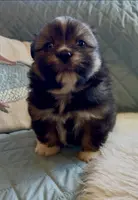 processed/22d5a185-39ee-4846-8ad6-3316967570fd/listing/db121644-0d98-45d4-a973-b25274da2432/aa4c068d-5109-45ae-92fa-b2730d0f4299