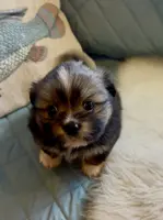 processed/22d5a185-39ee-4846-8ad6-3316967570fd/listing/db121644-0d98-45d4-a973-b25274da2432/e63b7505-5c2d-4431-9cf9-7f67fa75d5e1